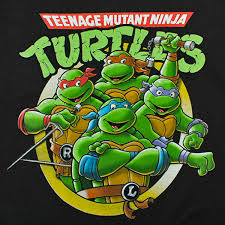 Tartarughe Ninja, Ninja turtles