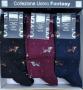 Calza lunga caldo cotone invernale Bassotti e Volpine Enrico Coveri Animal Line 13